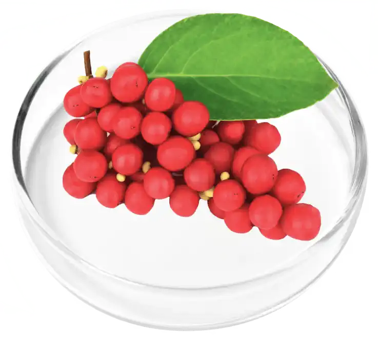 DigestiStart 25 DigestiStart ingredients2